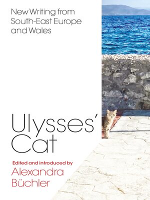 cover image of Ulysses's Cat